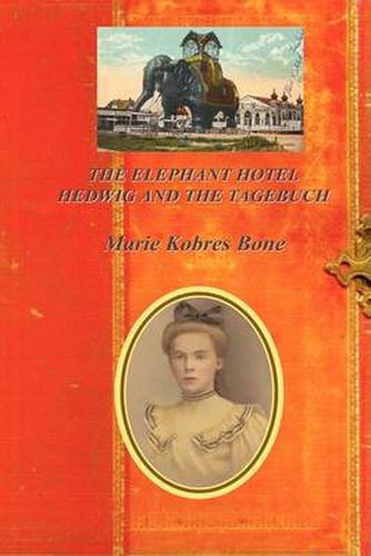 Cover image for The Elephant Hotel: Hedwig & The Tagebuch