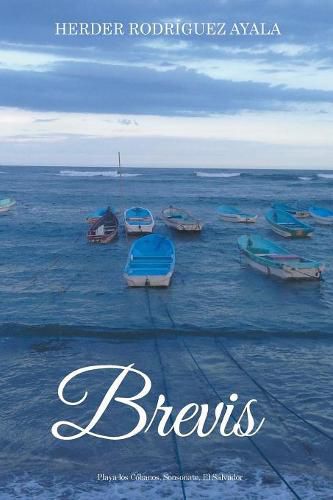 Cover image for Brevis