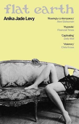 Cover image for Flat Earth