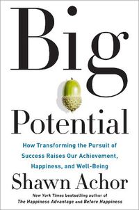 Cover image for Big Potential: How Transforming the Pursuit of Success Raises Our Achievement, Happiness, and Well-Being