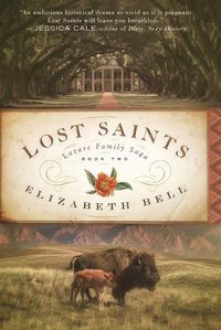 Cover image for Lost Saints