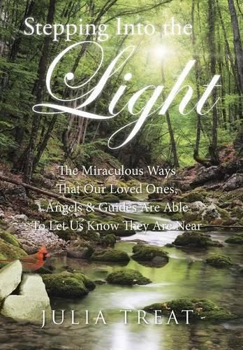 Cover image for Stepping Into the Light: The Miraculous Ways That Our Loved Ones, Angels & Guides Are Able To Let Us Know They Are Near