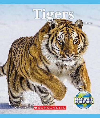 Cover image for Tigers (Nature's Children)