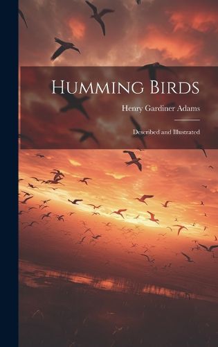 Cover image for Humming Birds