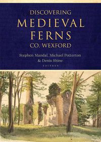 Cover image for Discovering Medieval Ferns, Co. Wexford