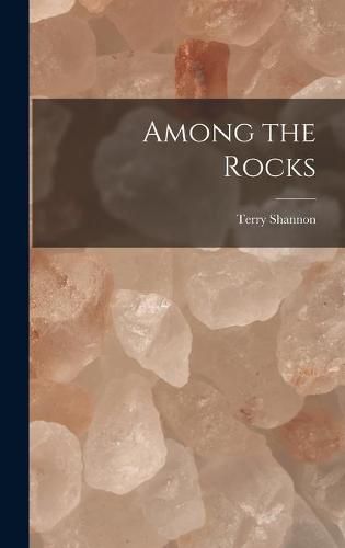 Cover image for Among the Rocks