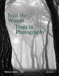 Cover image for Into the Woods: Trees in Photography