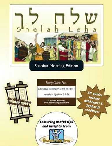 Bar/Bat Mitzvah Survival Guides: Shelah Leha (Shabbat Am)