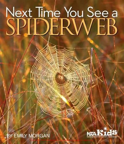 Cover image for Next Time You See a Spiderweb