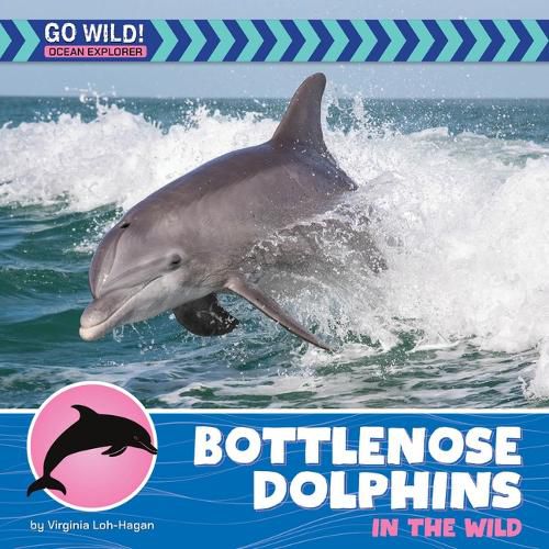 Cover image for Bottlenose Dolphins in the Wild
