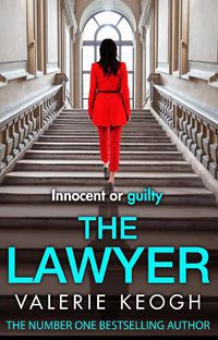Cover image for The Lawyer
