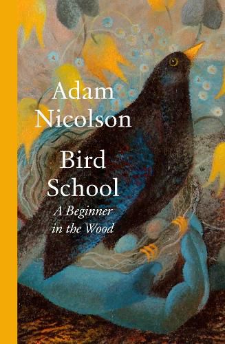 Cover image for Bird School