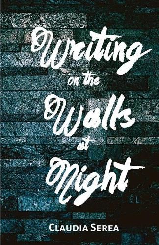 Cover image for Writing on the Walls at Night