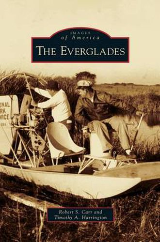 Cover image for Everglades