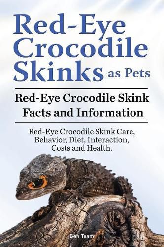 Cover image for Red Eye Crocodile Skinks as pets. Red Eye Crocodile Skink Facts and Information. Red-Eye Crocodile Skink Care, Behavior, Diet, Interaction, Costs and Health.