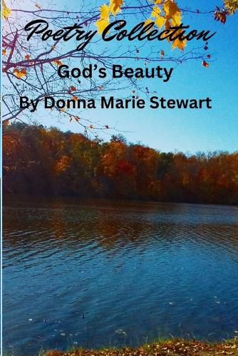 Cover image for God's Beauty