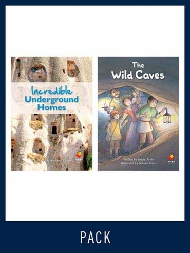 Cover image for Flying Start Guided Reading Level 29, Pack 1: Paired student books (6x6) and lesson plan (1)