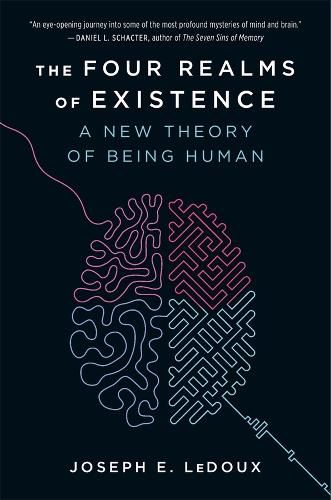 Cover image for The Four Realms of Existence