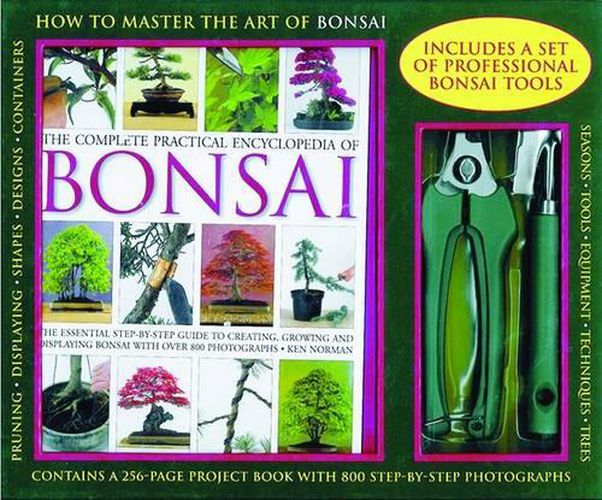 Cover image for How to Master the Art of Bonsai