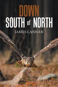 Cover image for Down South of North