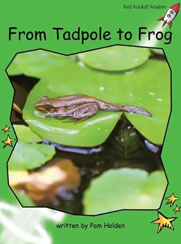 Cover image for Red Rocket Readers: Early Level 4 Non-Fiction Set C: From Tadpole to Frog (Reading Level 12/F&P Level H)
