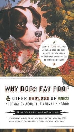 Cover image for Why Dogs Eat Poop, and Other Useless or Gross Information About the Animal Kingdom: Every Disgusting Fact About Animals you Ever Wanted to Know -- from Monkey-Face