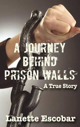 Cover image for A Journey Behind Prison Walls