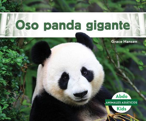 Cover image for Oso Panda Gigante