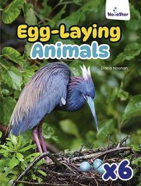 Cover image for Egg-Laying Animals x 6