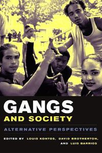 Cover image for Gangs and Society: Alternative Perspectives