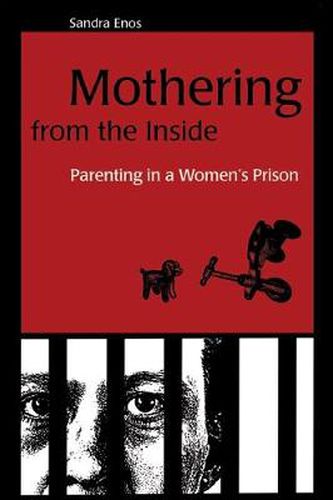 Cover image for Mothering from the Inside: Parenting in a Women's Prison