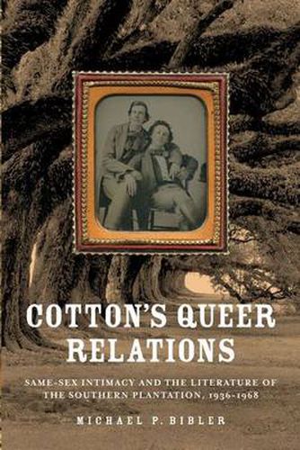 Cover image for Cotton's Queer Relations: Same-sex Intimacy and the Literature of the Southern Plantation, 1936-1968