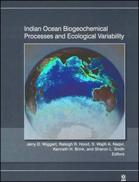 Cover image for Indian Ocean Biogeochemical Processes and Ecological Variability V185