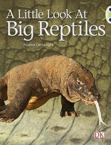 Cover image for Bug Club Guided Non Fiction Year 1 Blue B A Little Look at Big Reptiles