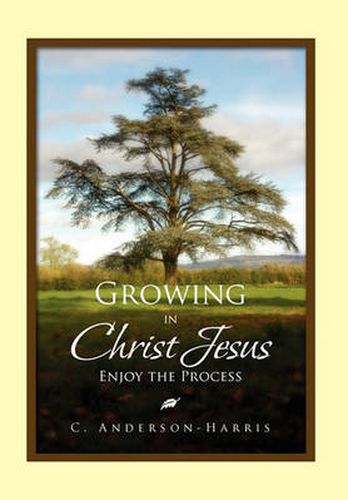 Cover image for Growing In Christ Jesus: Enjoying the Process