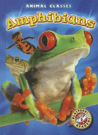 Cover image for Amphibians