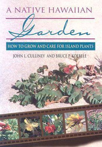 Cover image for A Native Hawaiian Garden: How to Grow and Care for Island Plants