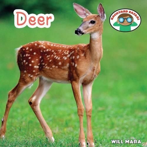 Cover image for Deer