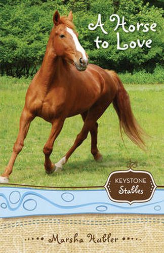 Cover image for A Horse to Love