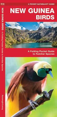 Cover image for New Guinea Birds: A Folding Pocket Guide to Familiar Species