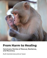 Cover image for From Harm to Healing