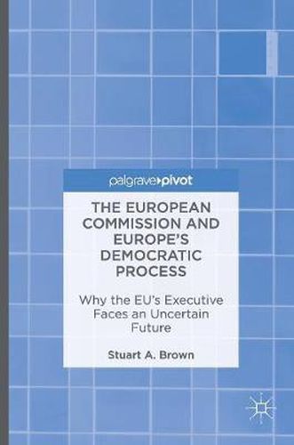 Cover image for The European Commission and Europe's Democratic Process: Why the EU's Executive Faces an Uncertain Future