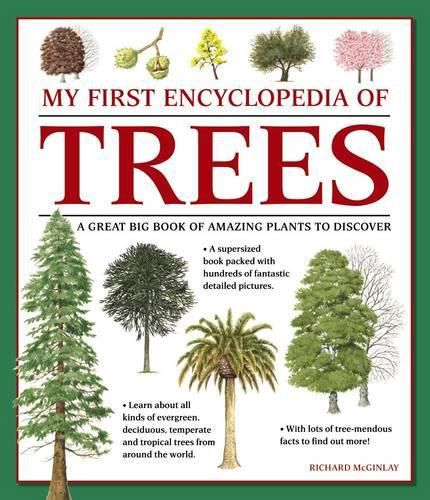 Cover image for My First Encyclopedia of Trees (giant Size)