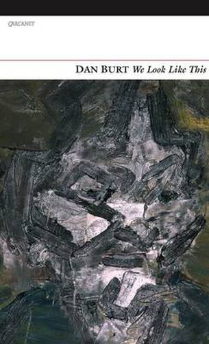 Cover image for We Look Like This