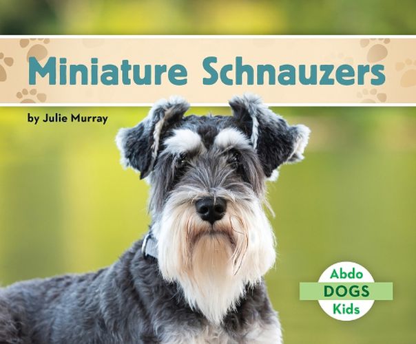 Cover image for Miniature Schnauzers