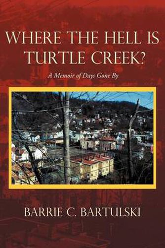 Cover image for Where the Hell Is Turtle Creek?