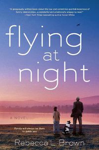 Cover image for Flying at Night