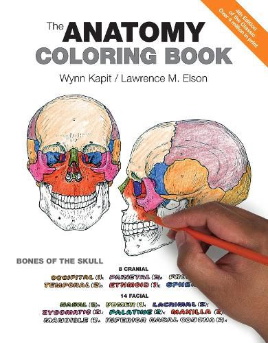 Cover image for Anatomy Coloring Book, The