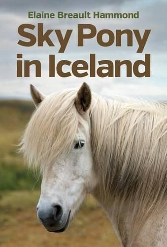 Cover image for Sky Pony in Iceland