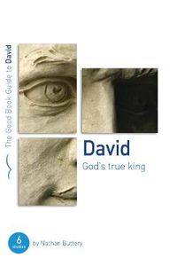 Cover image for David: God's True King: Six studies for individuals or groups